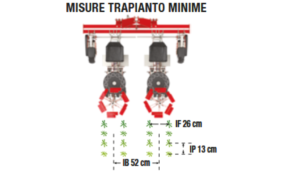 Spapperi TB 12 Nowe - 3