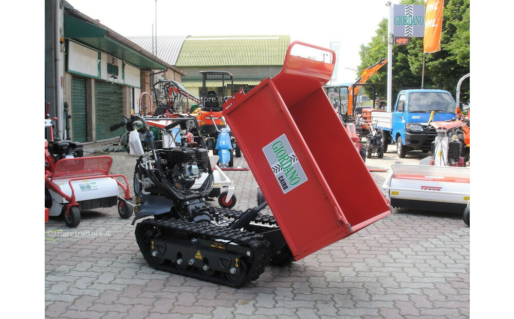 Motocarriola Cingolata GIOR 600 Zanetti Dumper Nuovo - 1