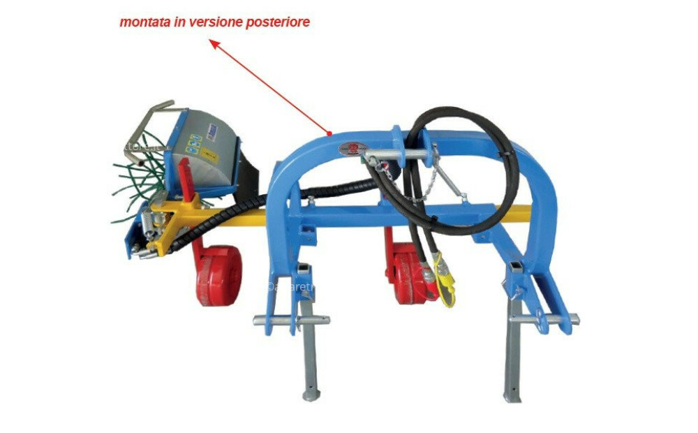 Arrizza SPOL SINGOLA Nuovo - 4