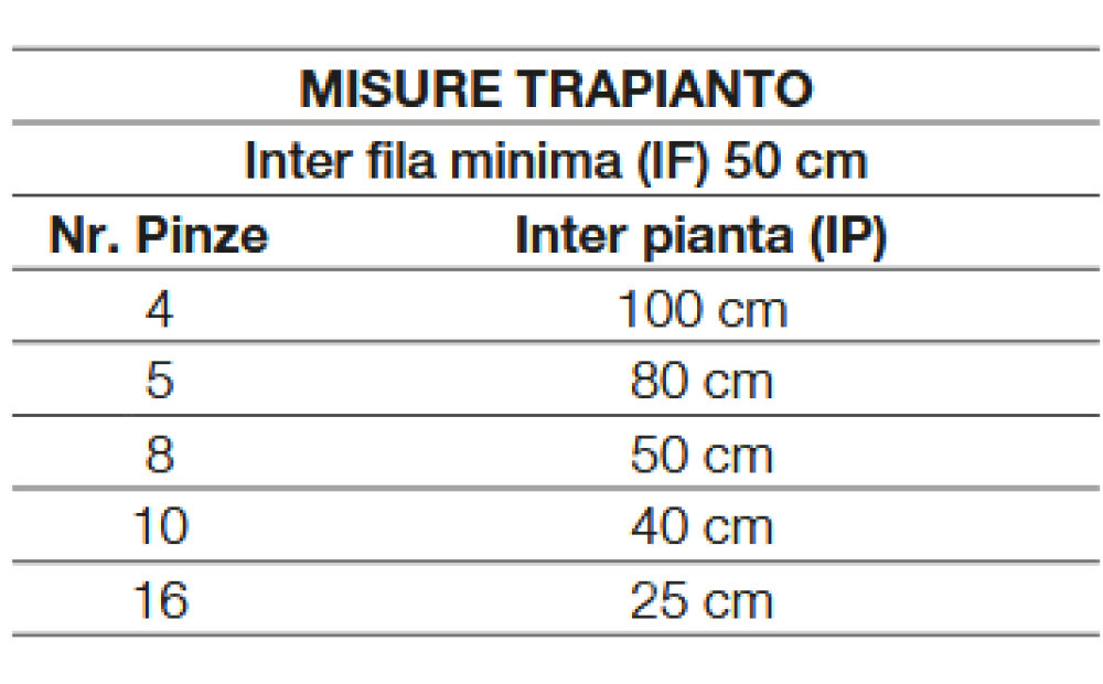 Spapperi TP PIANTATALEE IDRAULICA Nowe - 2