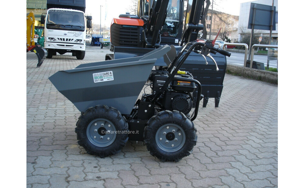 Motocarriola Gommata GIOR 300 Dumper 4x4 Nuovo - 4