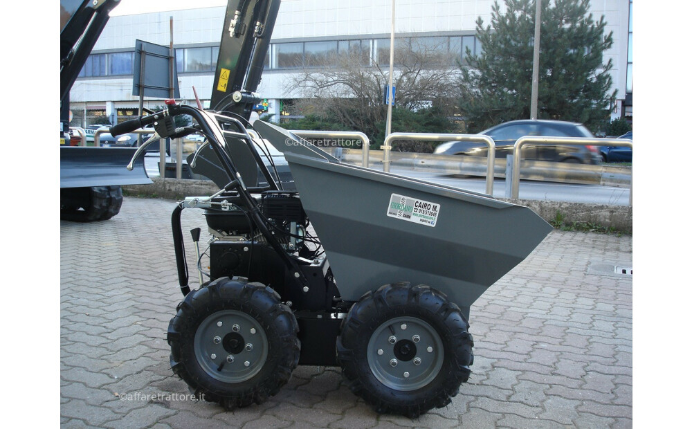 Motocarriola Gommata GIOR 300 Dumper 4x4 Nuovo - 5