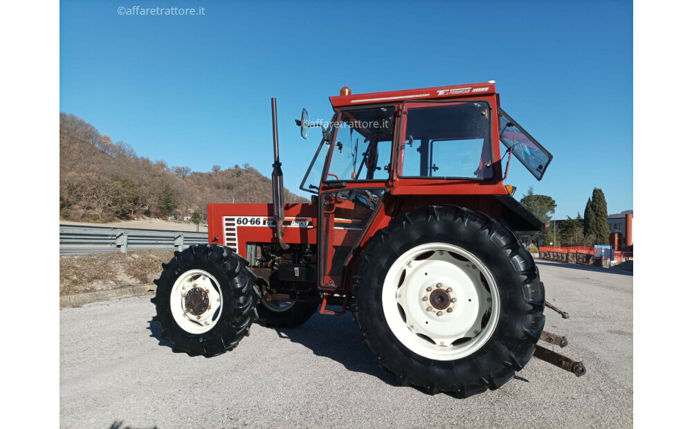 Fiat - Fiatagri 60-66 Usato - 6