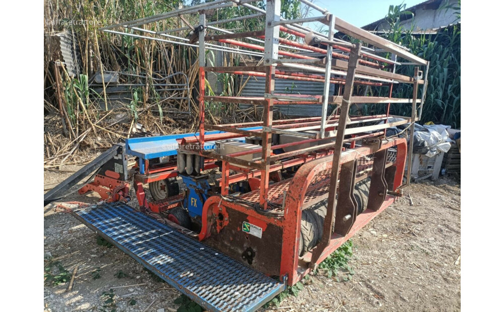 FERRARI FX 6 RZĘDOWY TRANSPLANTER Używany - 5