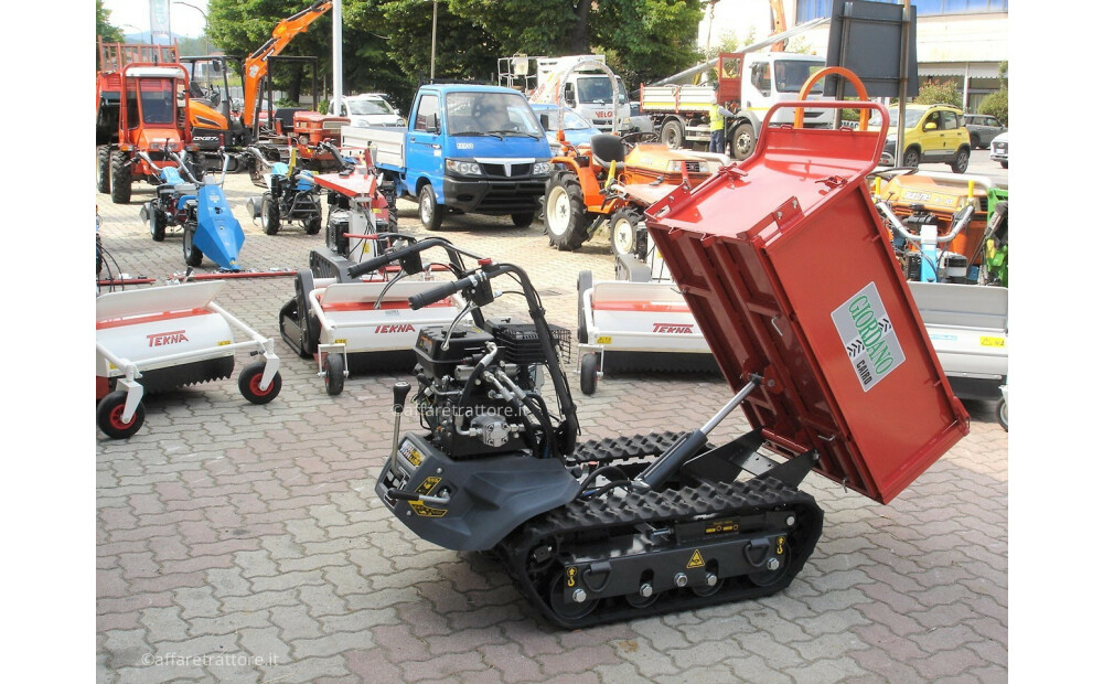 Motocarriola Cingolata GIOR 600 Zanetti Dumper Nuovo - 10