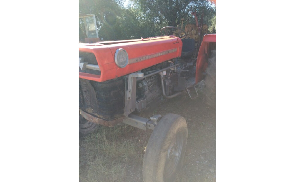 Massey Ferguson 165 Usato - 1