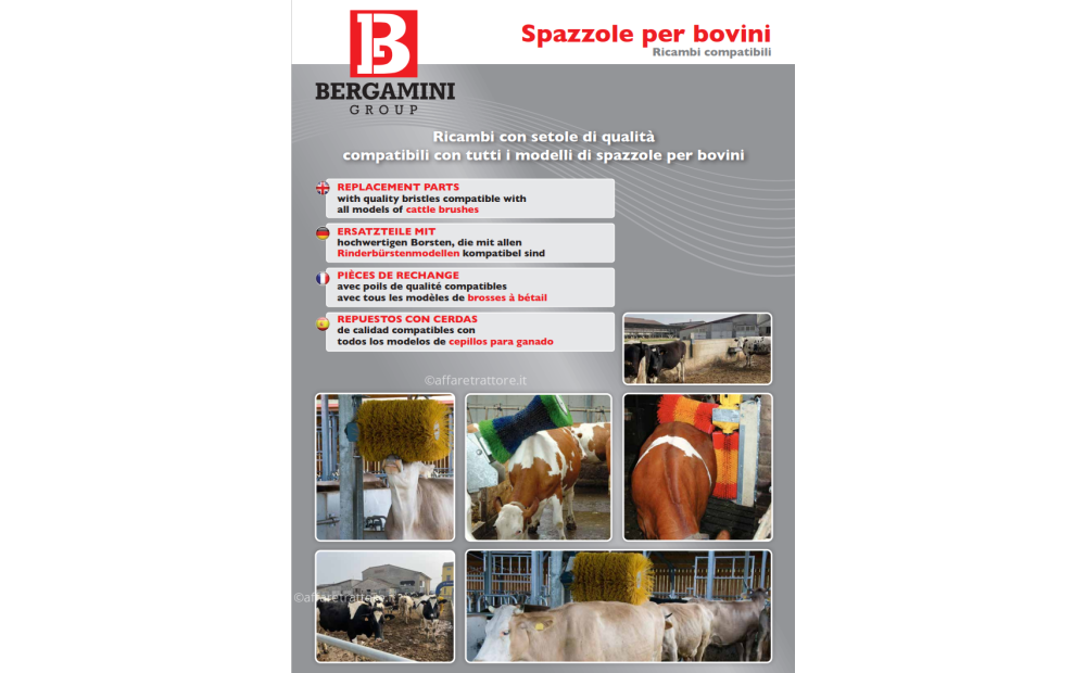 SPAZZOLE PER BOVINI COMPATIBILI HEITMANN VPG3 - 2