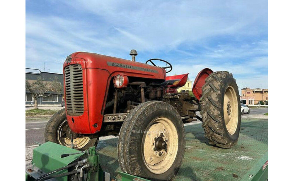 Massey Ferguson MF 35 Używany - 1