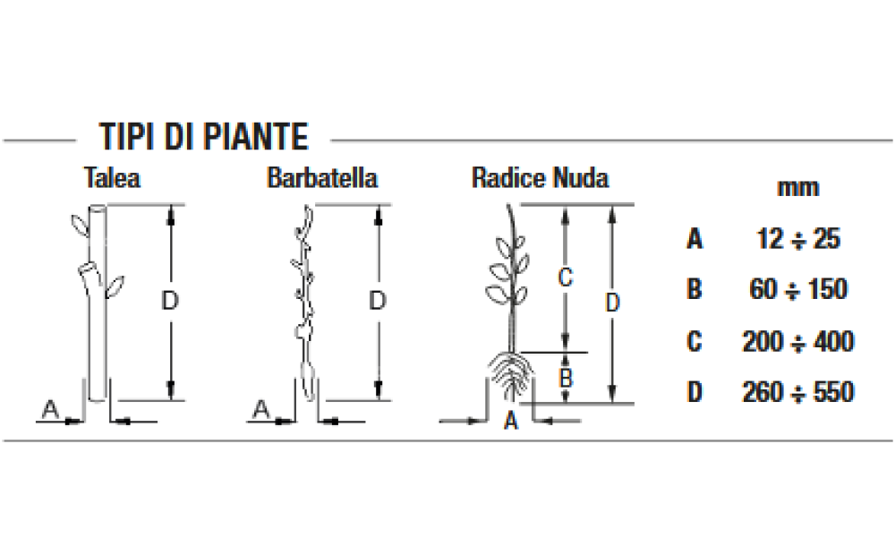 Spapperi TH Nowe - 2