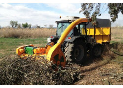 Serrat Biomass 150-180 Cv 200 Cm