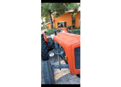 Massey Ferguson 135 Nowy