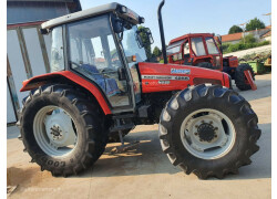 Massey Ferguson 4255 Używane